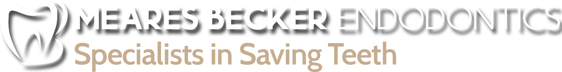 Link to MEARES BECKER ENDODONTICS home page