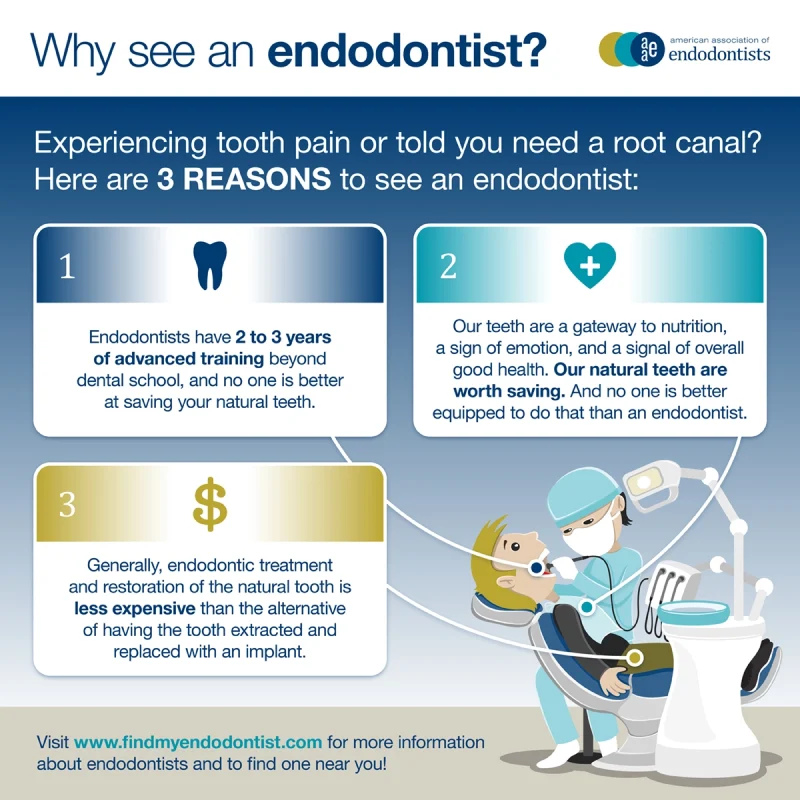 Why Choose an Endodontist infographics