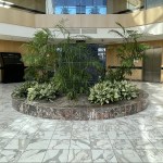 Meares Becker Endodontics dental office plants