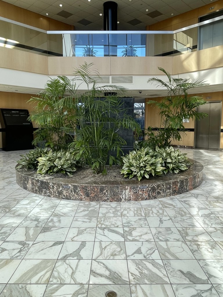 Meares Becker Endodontics dental office plants